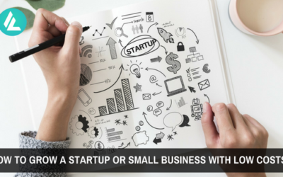 Blog 20 How to Grow a Startup or Small Business With Low Costs?