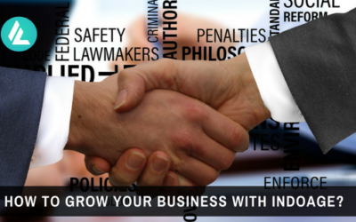 Blog 23 How To Grow Your Business With IndoAge?