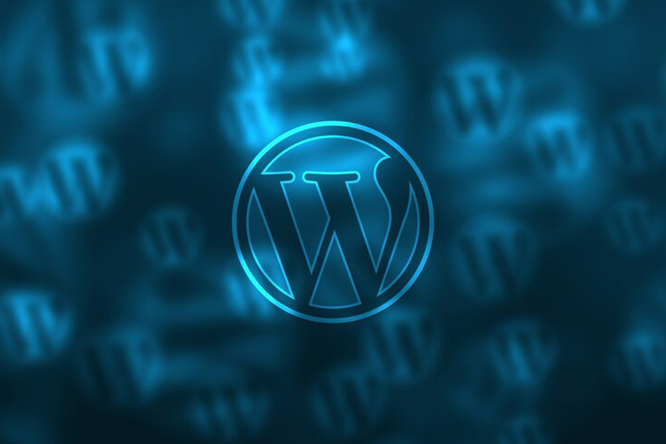 Web Development Services 4 wordpress development